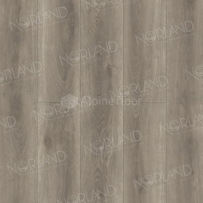 SPC Ламинат "Norland" Templet (1220*196*8 мм) — купить в Череповце