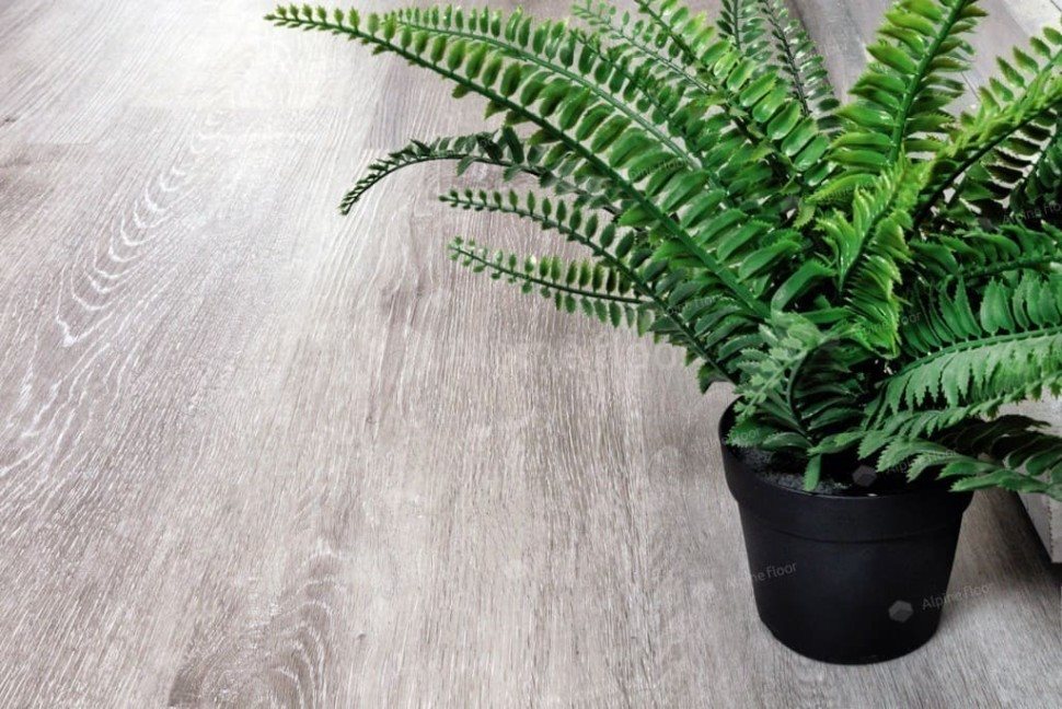 Виниловый ламинат "Alpine Floor" Classic Light MC Ясень Серый (1220*183*3,5 мм) — купить в Череповце